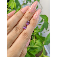 1.92&nbsp;Ct.Tw.Total Carat Weight Pink Sapphire Pair from Ceylon (Sri Lanka) Life Style