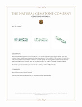 14.16 Ct.Tw.Total Carat Weight Bluish Green Beryl Pair from Brazil Appraisal