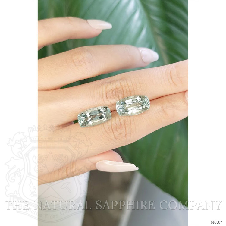 14.16 Ct.Tw. Beryl Pair from Brazil