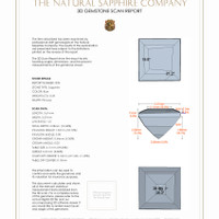 Jewelry 3 D Scan Report