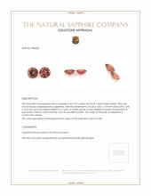 Jewelry Appraisal