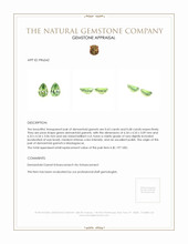 1.33 Ct.Tw.Total Carat Weight Demantoid Garnet Pair from Madagascar Appraisal