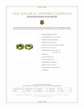 Jewelry Scan Report