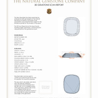 9.74 Ct.Tw.Total Carat Weight Lapis Pair from Afghanistan 3 D Scan Report