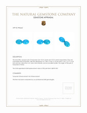 20.46 Ct.Tw.Total Carat Weight Cabochon Turquoise Pair from Persia Appraisal