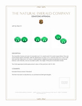 0.34 Ct.Tw.Total Carat Weight Emerald Pair from Brazil Appraisal