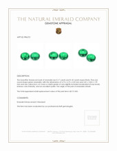 0.35 Ct.Tw.Total Carat Weight Emerald Pair from Brazil Appraisal