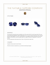1.27&nbsp;Ct.Tw.Total Carat Weight Blue Sapphire Pair from Ceylon (Sri Lanka) Appraisal