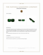 9.32 Ct.Tw.Total Carat Weight Green Tourmaline Pair from Brazil Appraisal