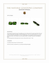 10.02 Ct.Tw.Total Carat Weight Green Tourmaline Pair from Brazil Appraisal