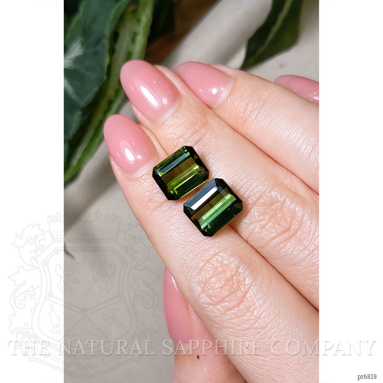 8.27 Ct.Tw. Tourmaline Pair from Brazil