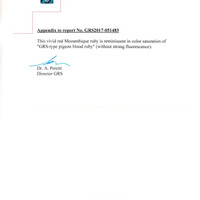 Jewelry Scan Report