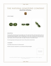 5.32 Ct.Tw.Total Carat Weight Green Tourmaline Pair from Brazil Appraisal