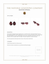 4.24 Ct.Tw.Total Carat Weight Garnet Pair from Ceylon (Sri Lanka) Appraisal