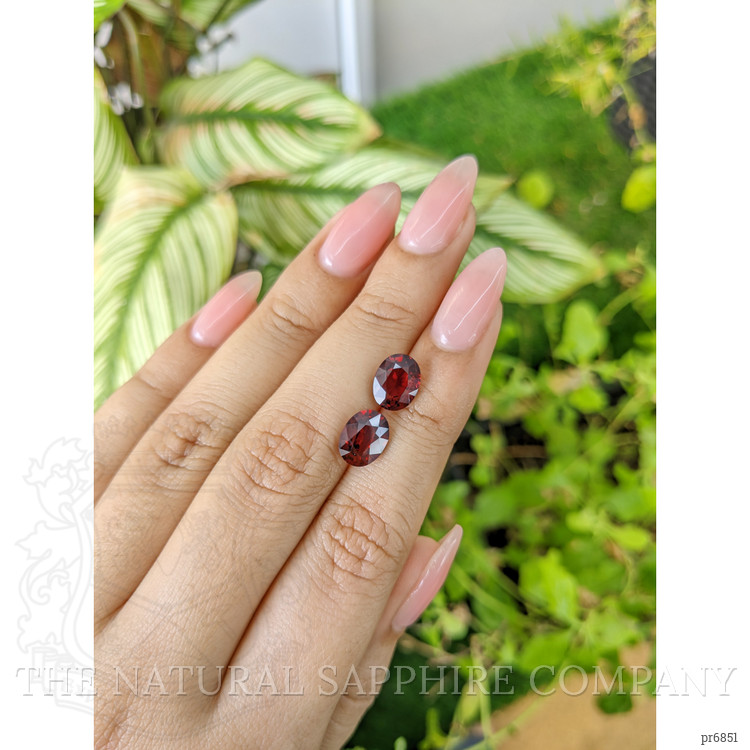 4.53 Ct.Tw. Garnet Pair from Ceylon (Sri Lanka)