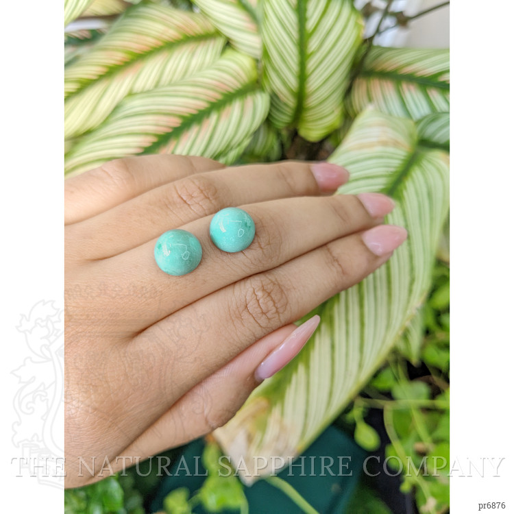 10.23 Ct.Tw. Cabochon Turquoise Pair from United States