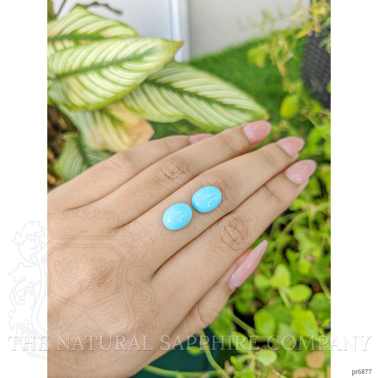 5.32 Ct.Tw. Cabochon Turquoise Pair from United States