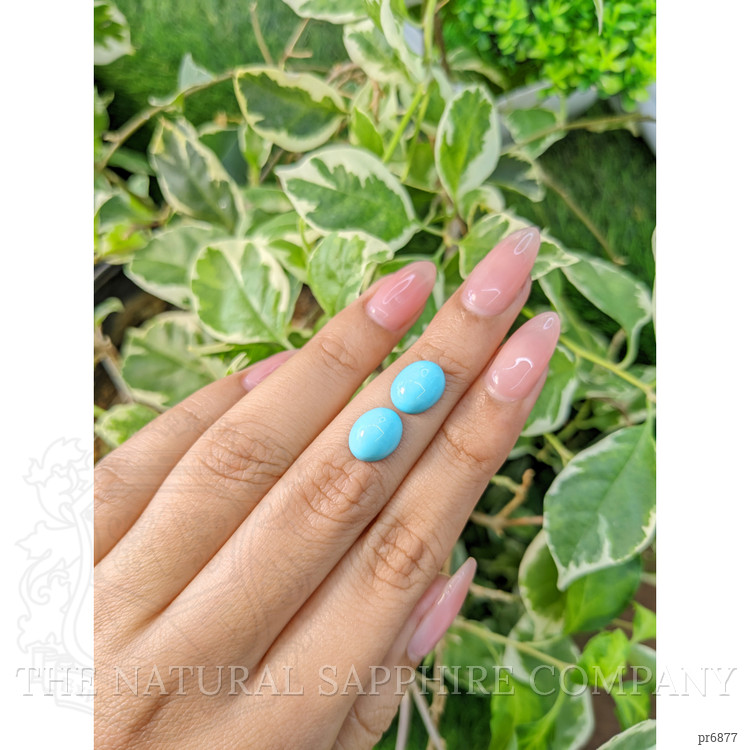 5.32 Ct.Tw. Cabochon Turquoise Pair from United States