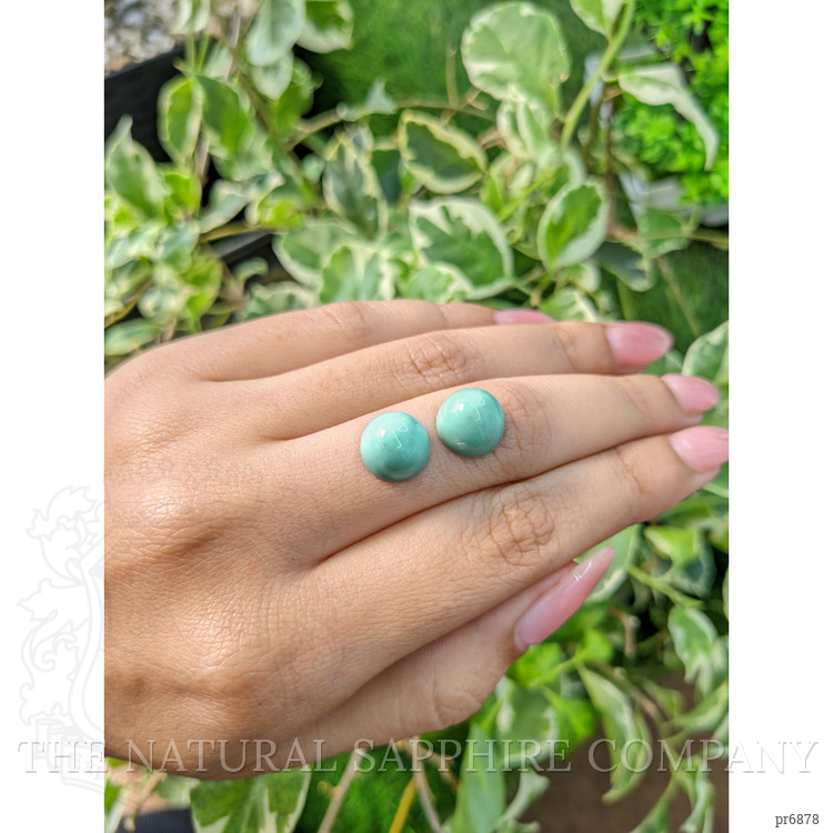 9.86 Ct.Tw. Cabochon Turquoise Pair from United States