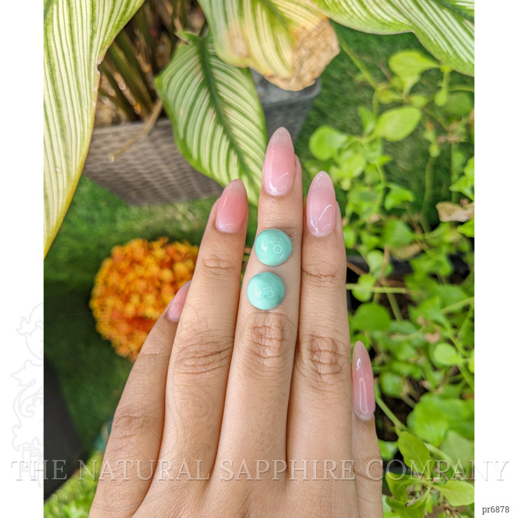 9.86 Ct.Tw. Cabochon Turquoise Pair from United States