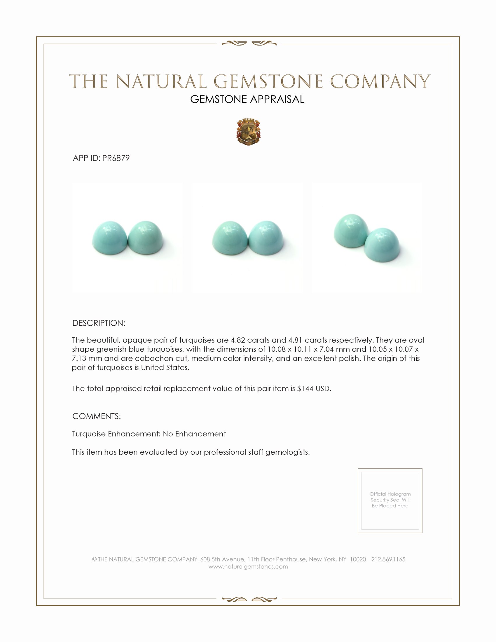 9.63 Ct.Tw. Cabochon Turquoise Pair from USA