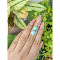 9.63&nbsp;Ct.Tw.Total Carat Weight Cabochon Turquoise Pair from United States Life Style