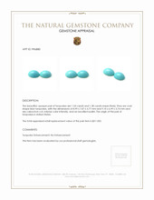 3.12 Ct.Tw.Total Carat Weight Cabochon Turquoise Pair from United States Appraisal