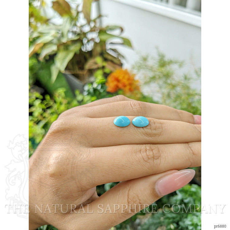 3.12 Ct.Tw. Cabochon Turquoise Pair from United States