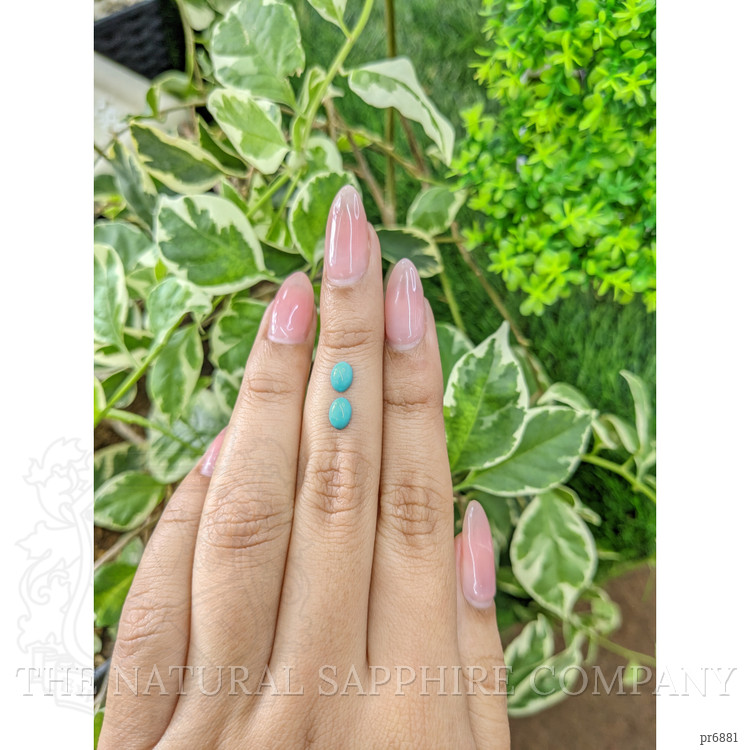 0.93 Ct.Tw. Cabochon Turquoise Pair from United States