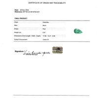 11.86 Ct.Tw.Total Carat Weight Emerald Pair from Colombia Scan Report