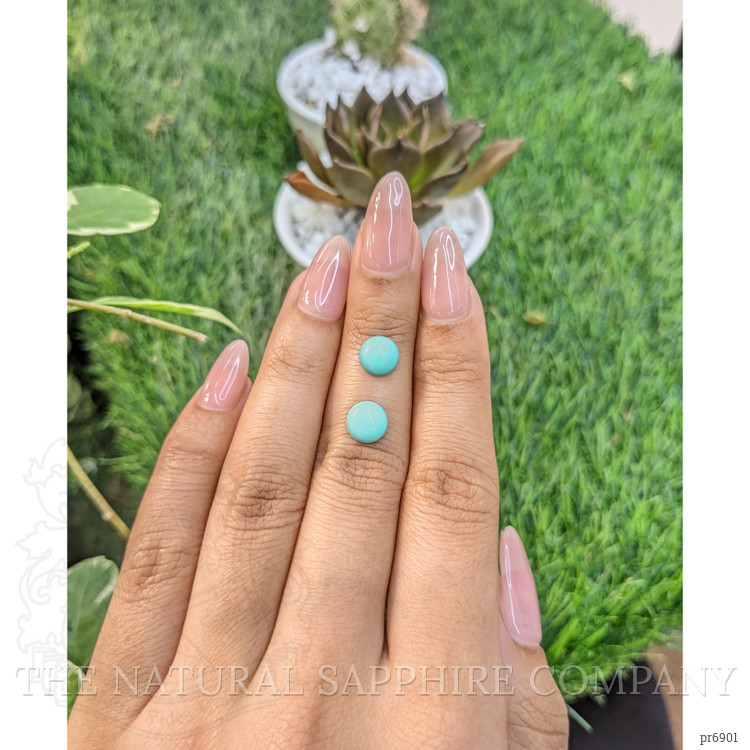 1.90 Ct.Tw. Cabochon Turquoise Pair from United States