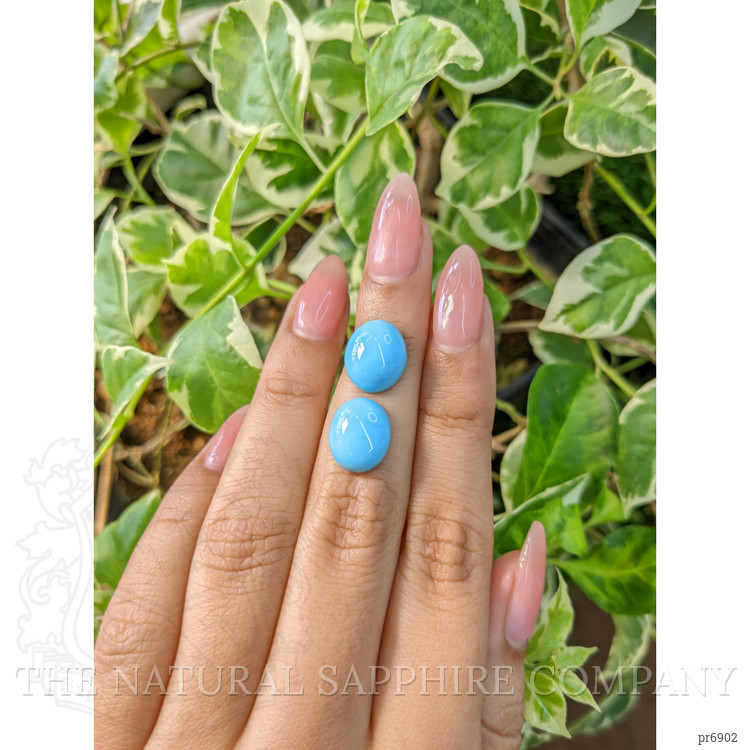 9.48 Ct.Tw. Cabochon Turquoise Pair from United States