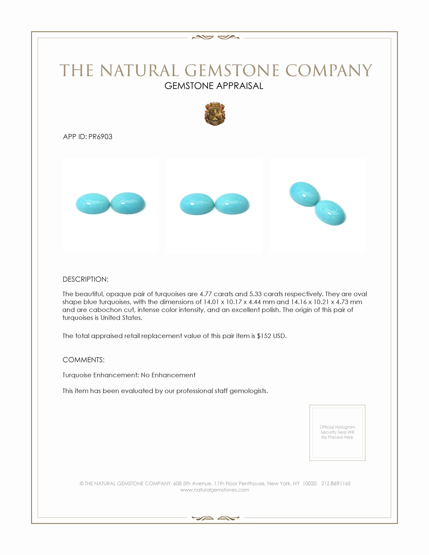 10.10 Ct.Tw. Cabochon Turquoise Pair from United States