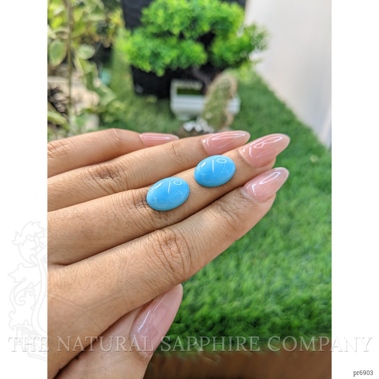 10.10 Ct.Tw. Cabochon Turquoise Pair from United States