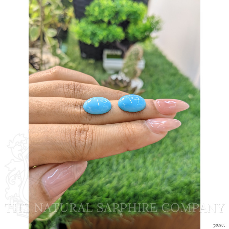 10.10 Ct.Tw. Cabochon Turquoise Pair from United States