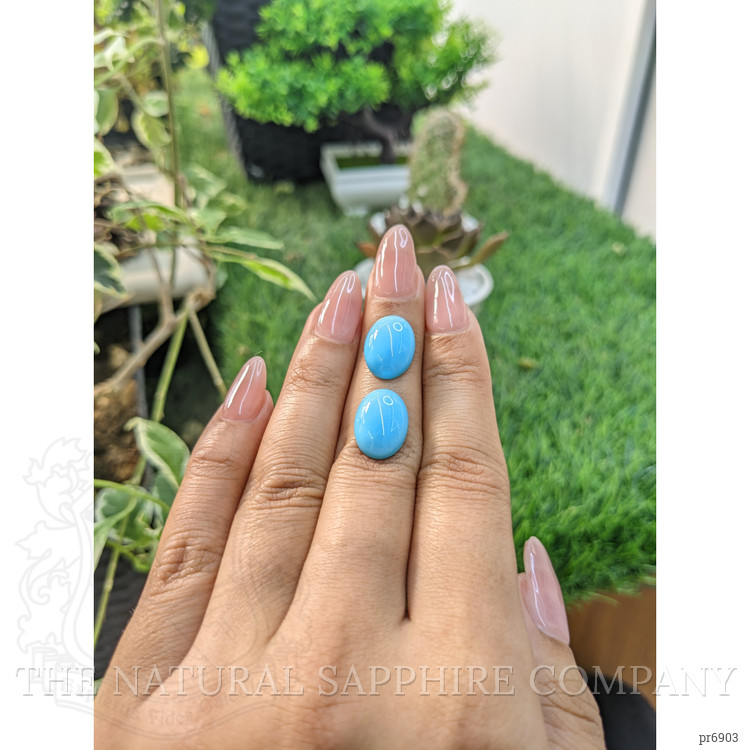 10.10 Ct.Tw. Cabochon Turquoise Pair from United States