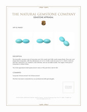 10.92 Ct.Tw.Total Carat Weight Cabochon Turquoise Pair from United States Appraisal