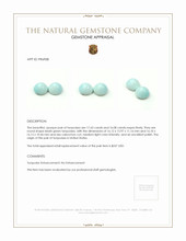 33.71 Ct.Tw.Total Carat Weight Cabochon Turquoise Pair from USA Appraisal