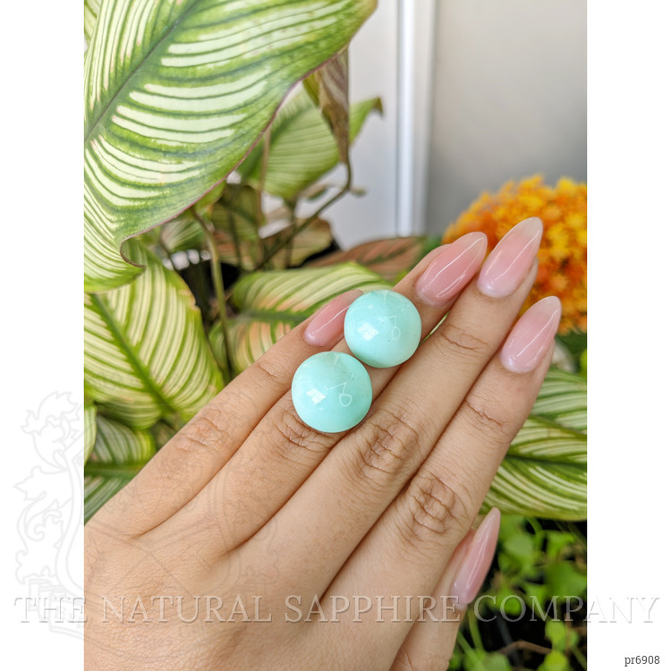 33.71 Ct.Tw. Cabochon Turquoise Pair from United States