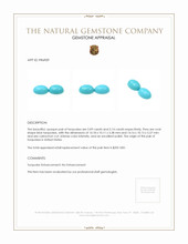 10.23&nbsp;Ct.Tw.Total Carat Weight Cabochon Turquoise Pair from United States Appraisal