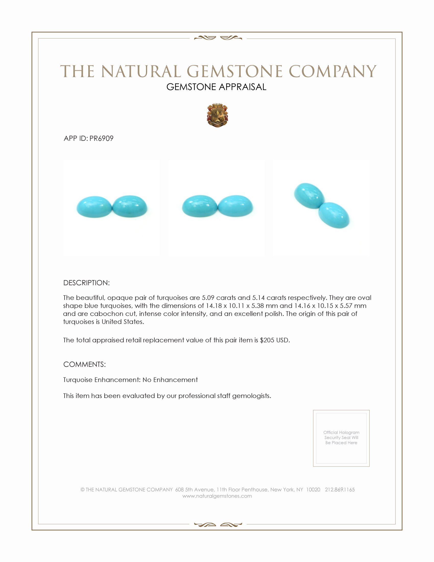 10.23 Ct.Tw. Cabochon Turquoise Pair from United States