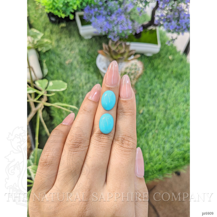 10.23 Ct.Tw. Cabochon Turquoise Pair from United States