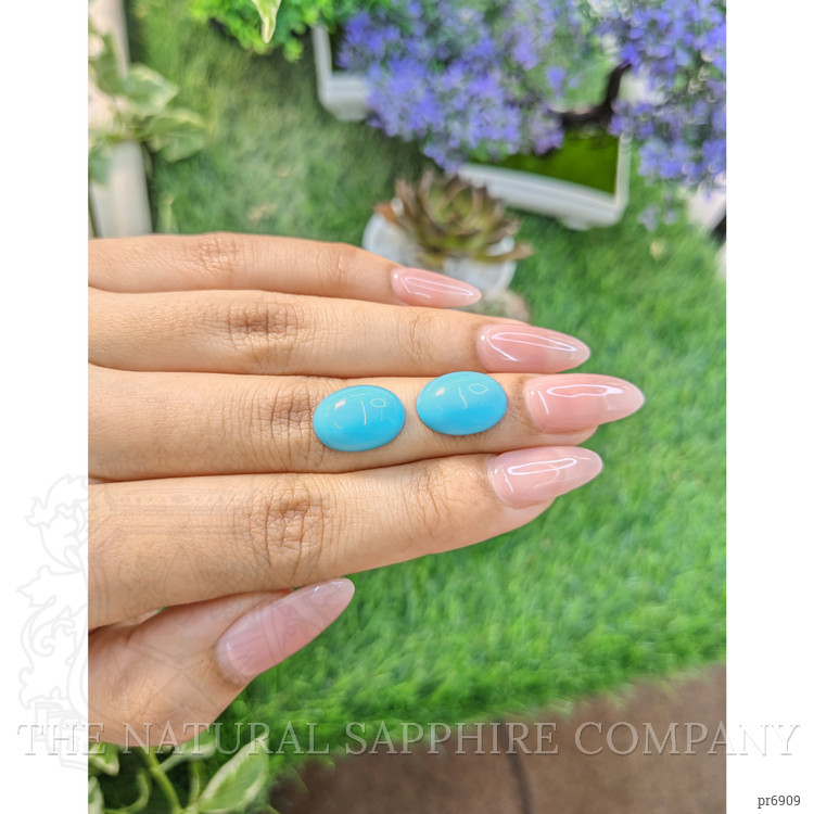 10.23 Ct.Tw. Cabochon Turquoise Pair from United States