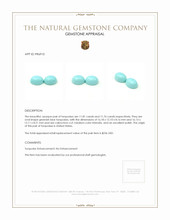 23.57 Ct.Tw.Total Carat Weight Cabochon Turquoise Pair from United States Appraisal