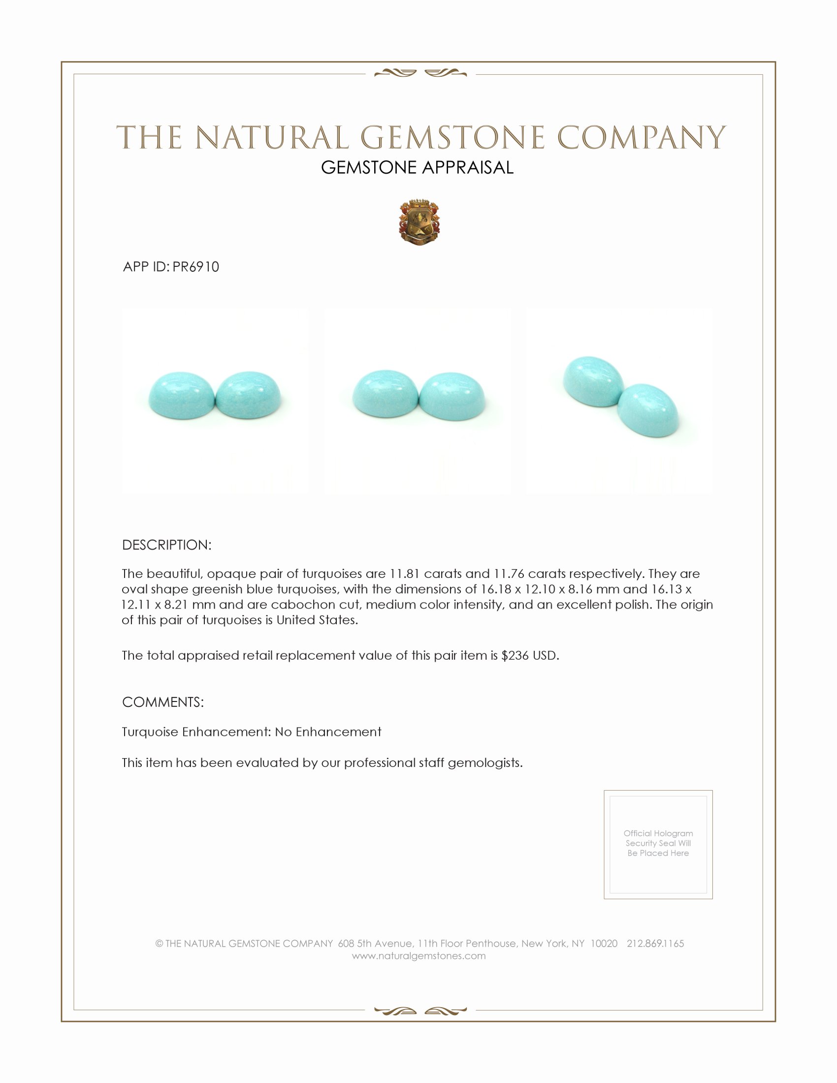 23.57 Ct.Tw. Cabochon Turquoise Pair from United States