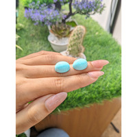 23.57 Ct.Tw.Total Carat Weight Cabochon Turquoise Pair from United States Life Style