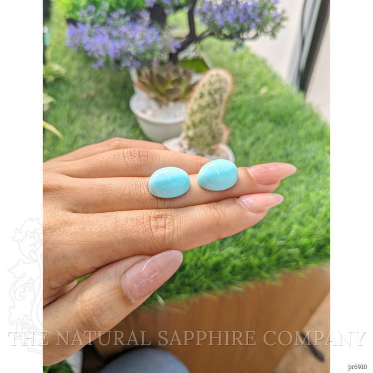 23.57 Ct.Tw. Cabochon Turquoise Pair from United States