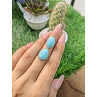 23.57&nbsp;Ct.Tw.Total Carat Weight Cabochon Turquoise Pair from United States Life Style