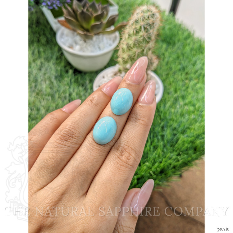 23.57 Ct.Tw. Cabochon Turquoise Pair from United States