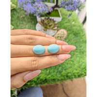 23.57 Ct.Tw.Total Carat Weight Cabochon Turquoise Pair from United States Life Style